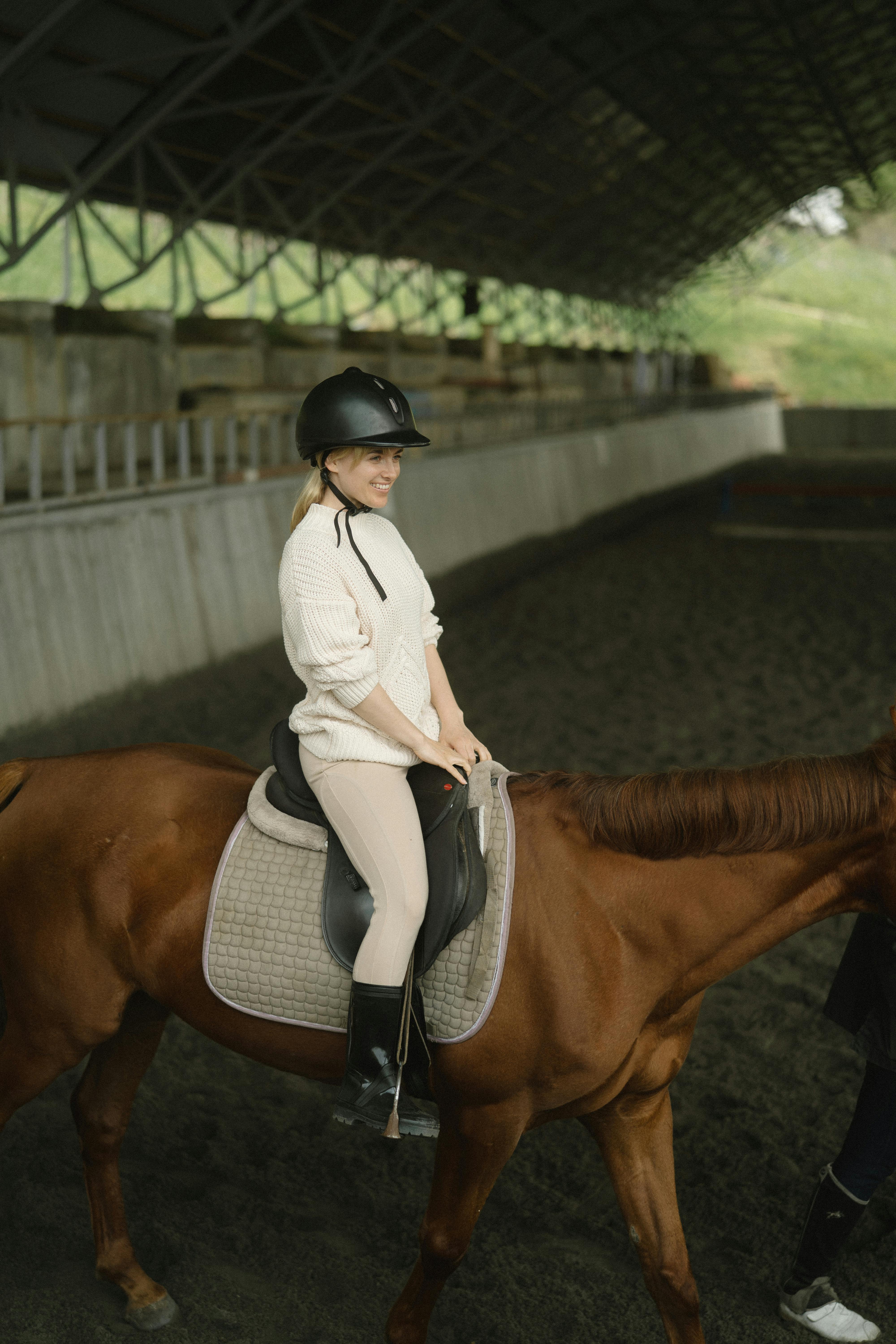 Equestrian rider — independent equestrian retailer technical SEO audit